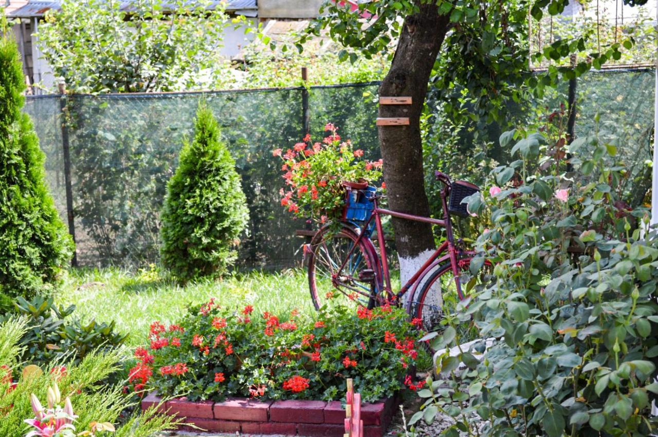Pensiunea Casa Rica Călimăneşti Exteriör bild