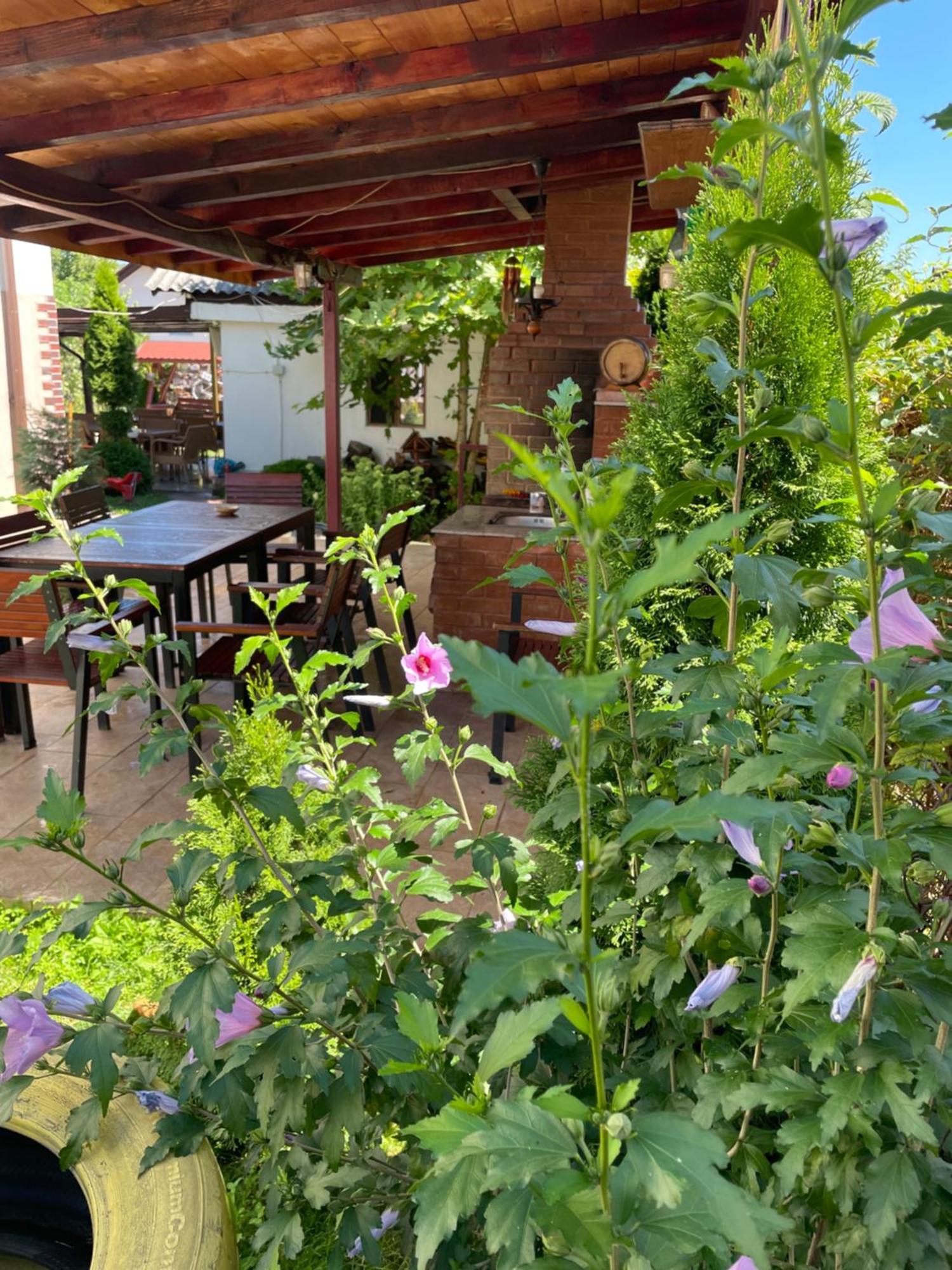 Pensiunea Casa Rica Călimăneşti Exteriör bild