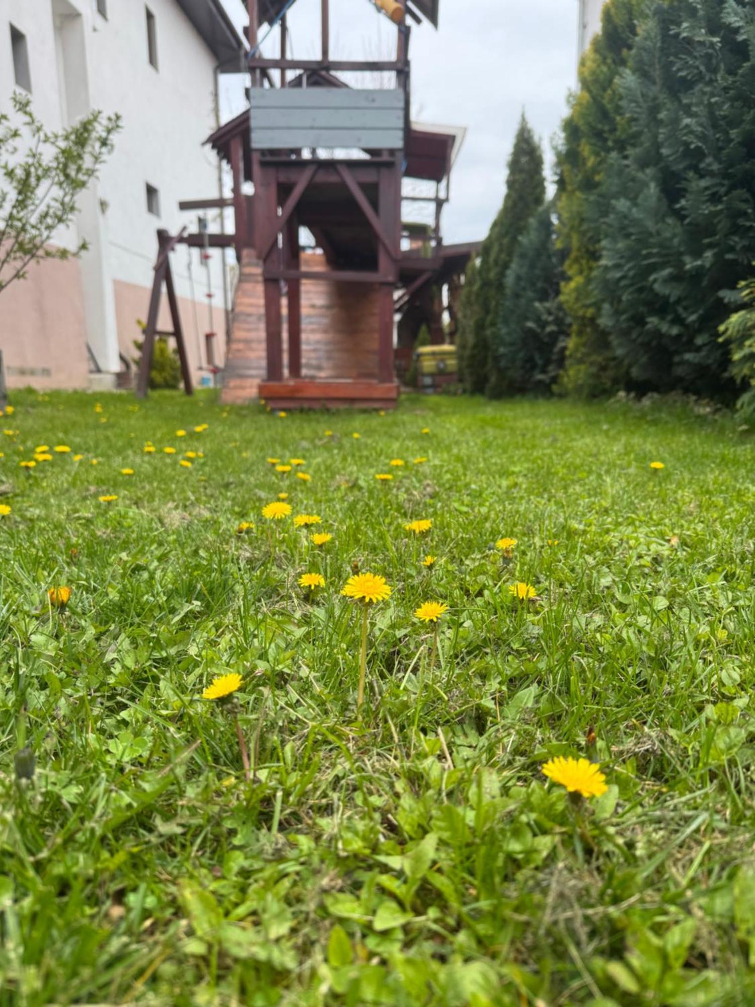Pensiunea Casa Rica Călimăneşti Exteriör bild