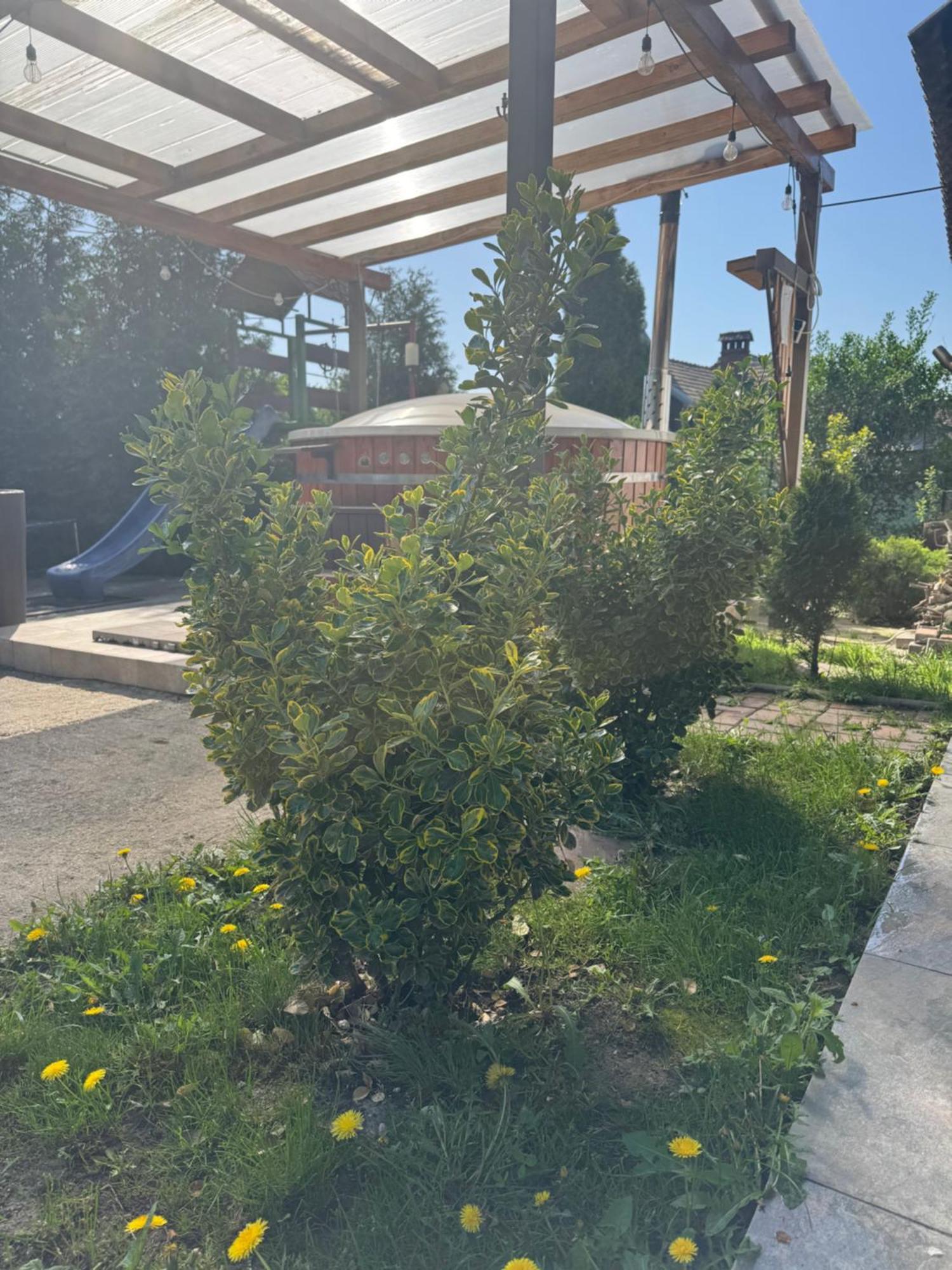 Pensiunea Casa Rica Călimăneşti Exteriör bild